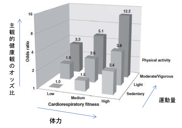 メンタルヘルス対策としての運動の必要性～COVID-19下、運動不足