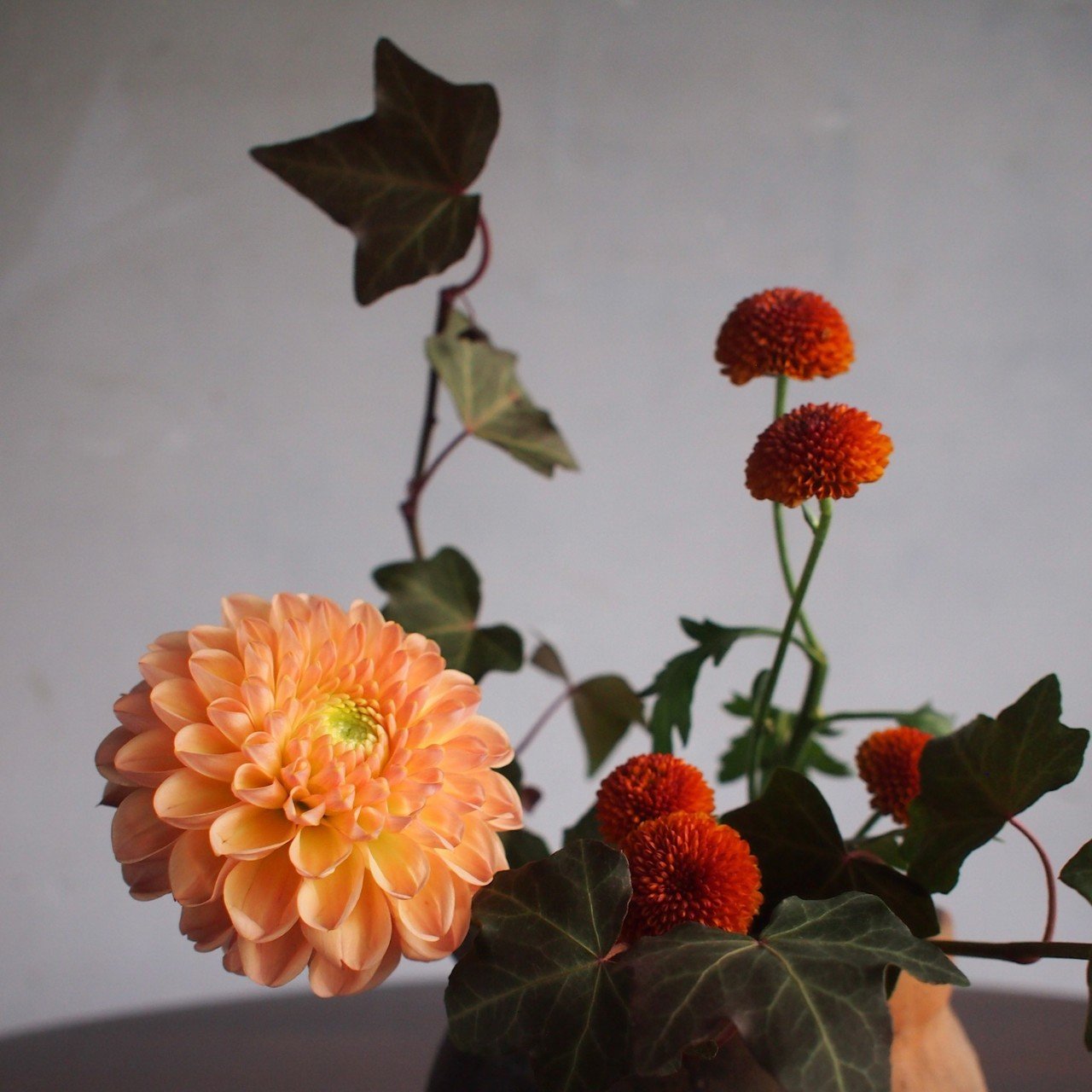 菊枕と秋の色 花の歳時記 Hanaike はないけ Note 菊枕と秋の色 花の歳時記 Hanaike はないけ Note