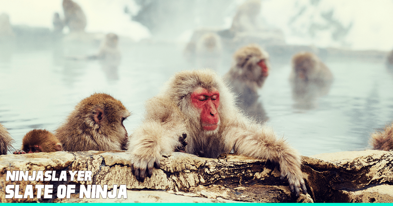 ネオサイタマ シティ郊外 露天風呂温泉 忍偵ヌンチャック 新たなヴィジョン ダイハードテイルズ ネオサイタマ シティ郊外 露天風呂温泉 忍偵ヌンチャック 新たなヴィジョン ダイハードテイルズ