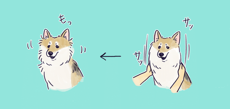 小ネタ 犬の記録 07 さかぐちまや Note
