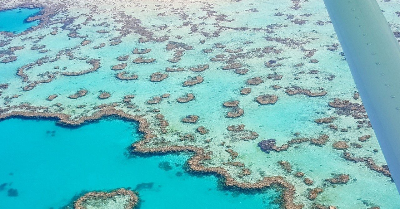 ハミルトン島での暮らし 2年半住んだけど また遊びに行きたくなる場所 ほしこ シドニー在住 Note