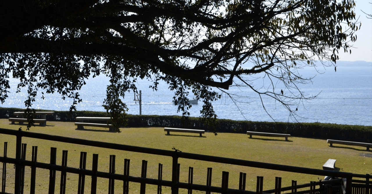 実は典型的薩摩隼人じゃない？ Koito is NOT a typical Satsuma Hayato｜小檜山青 Sei KOBIYAMA