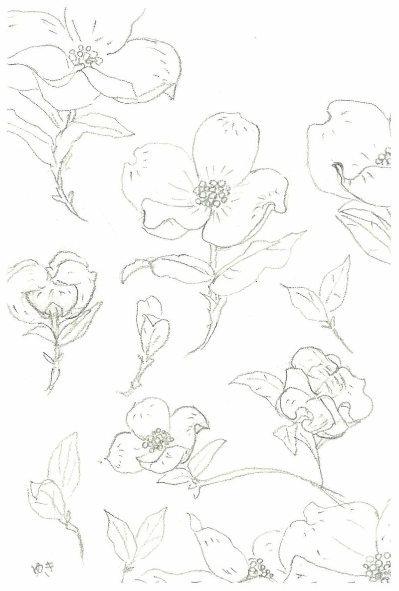 ぬりえ 11 Snow Note