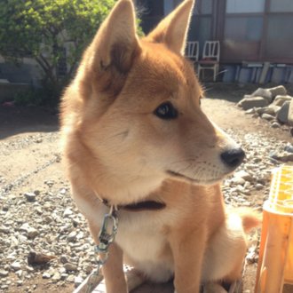 Indeedを退職してUbieに入社します|masa_kazama|note アイキャッチ