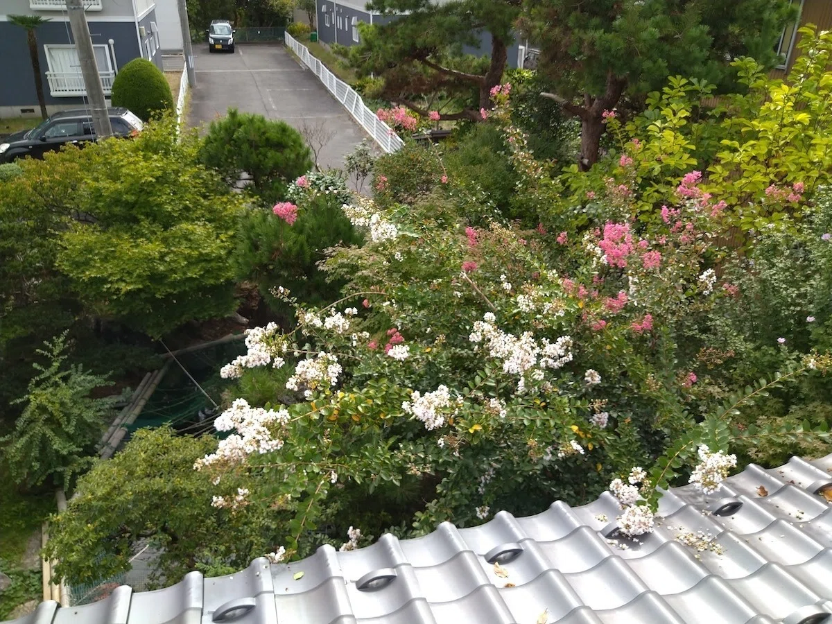 画像23