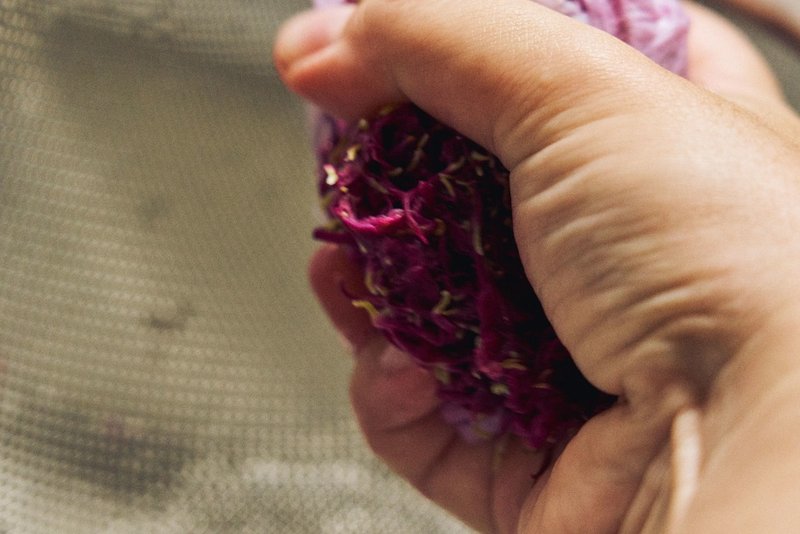 美しい花をいただく もってのほかとカニカマの和え物 今井真実 料理家 Note