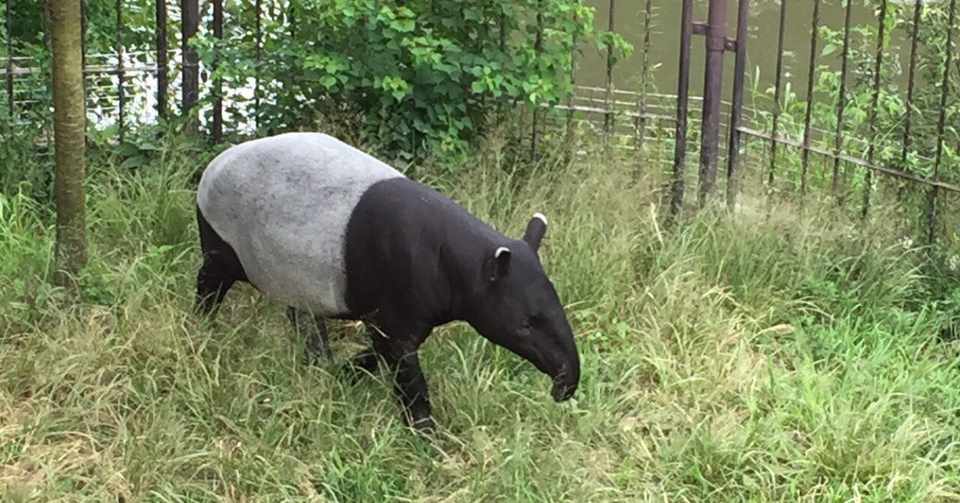 夢判断をくれ 追記 もらった ぷにあなご Note