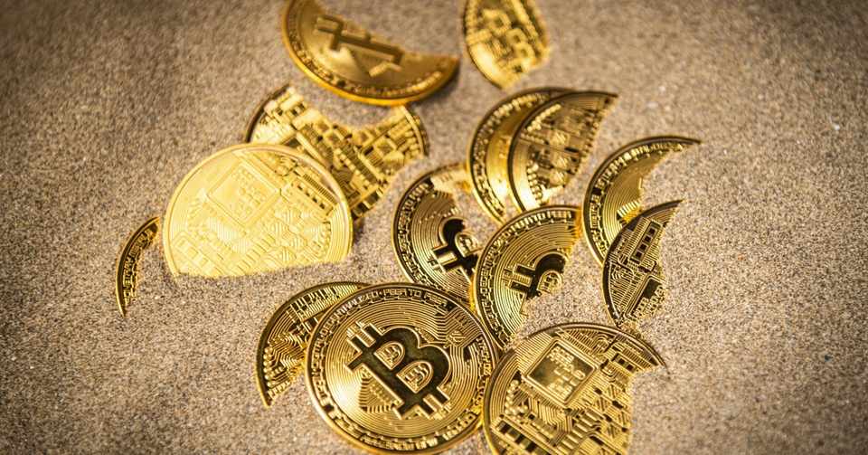 金の冠をかぶったスズメ けん Note