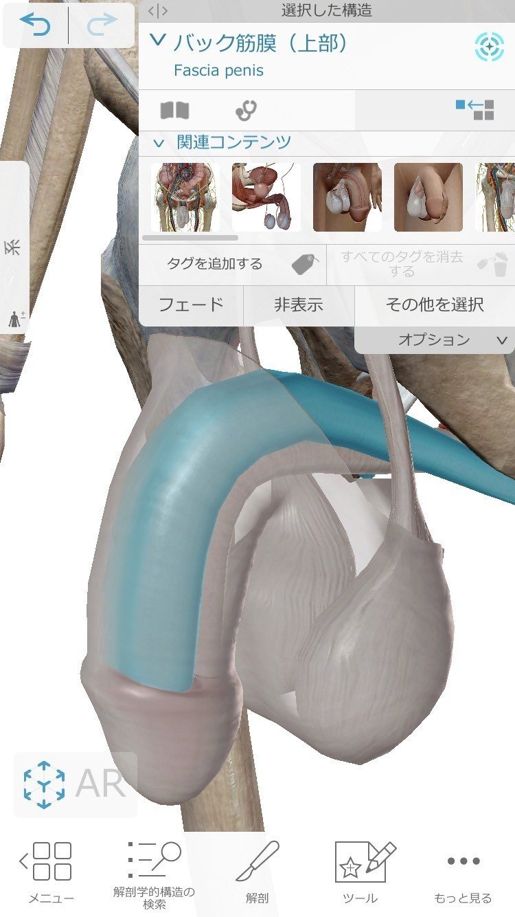 相葉流性教育1 プロフィールとチントレ方法と男性性器の大きさは大きくなるか実証と大きくする方法とは あいばch ハプニングバー芸人 ハプバー名 相葉たつや Note 相葉流性教育1 プロフィールとチントレ方法と男性性器の大きさは大きくなるか実証と大きくする方法とは あいばch ハプニングバー芸人 ハプバー名 相葉たつや Note