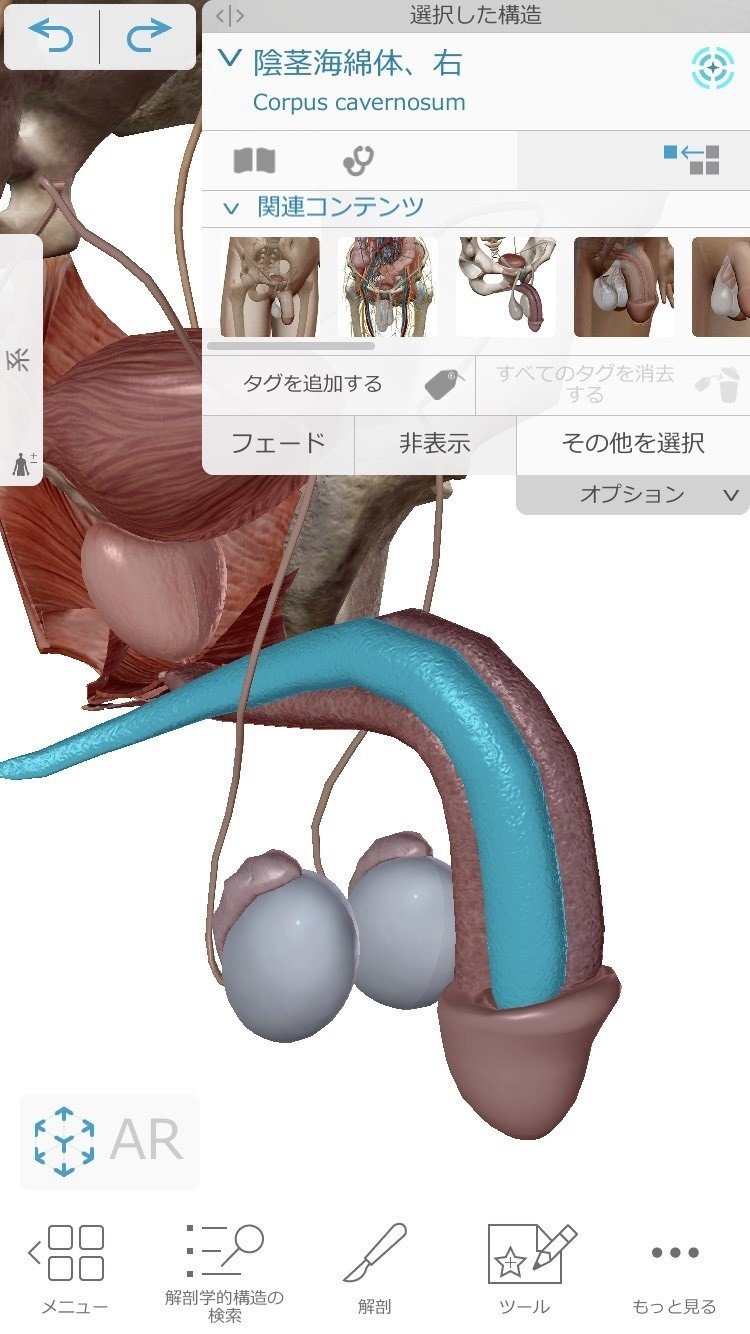 相葉流性教育1 プロフィールとチントレ方法と男性性器の大きさは大きくなるか実証と大きくする方法とは あいばch ハプニングバー芸人 ハプバー名 相葉たつや Note 相葉流性教育1 プロフィールとチントレ方法と男性性器の大きさは大きくなるか実証と大きくする方法とは あいばch ハプニングバー芸人 ハプバー名 相葉たつや Note