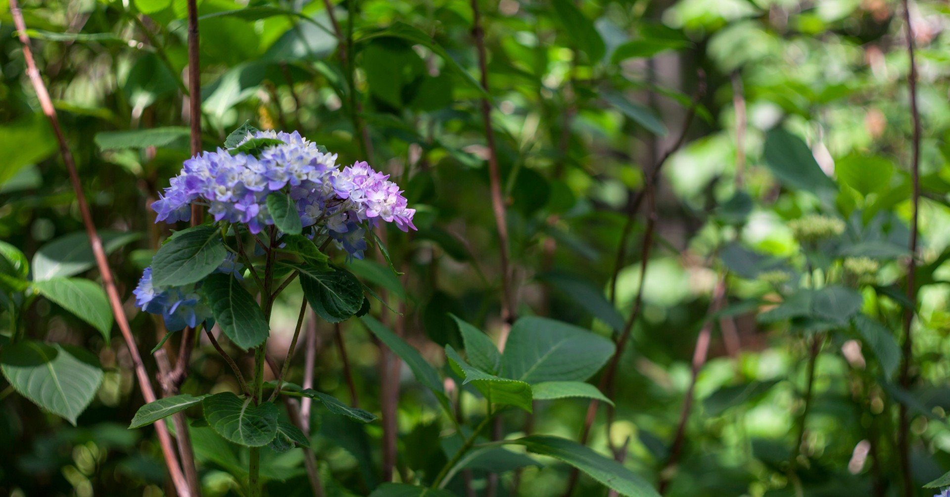 おカネの切れ目が恋の始まり 最終回 人が突然いなくなることを考える ネタバレあり 大和ヌレガミ Note