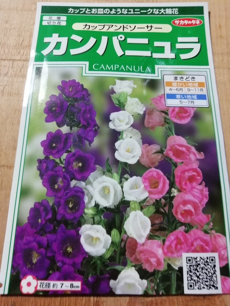 カンパニュラの種まき 作業台 Note