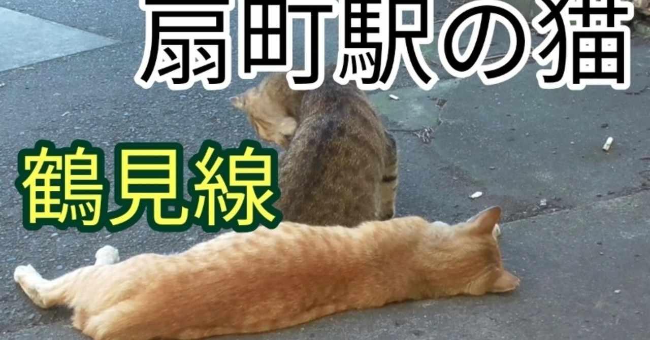 茶トラ猫シフォン Note