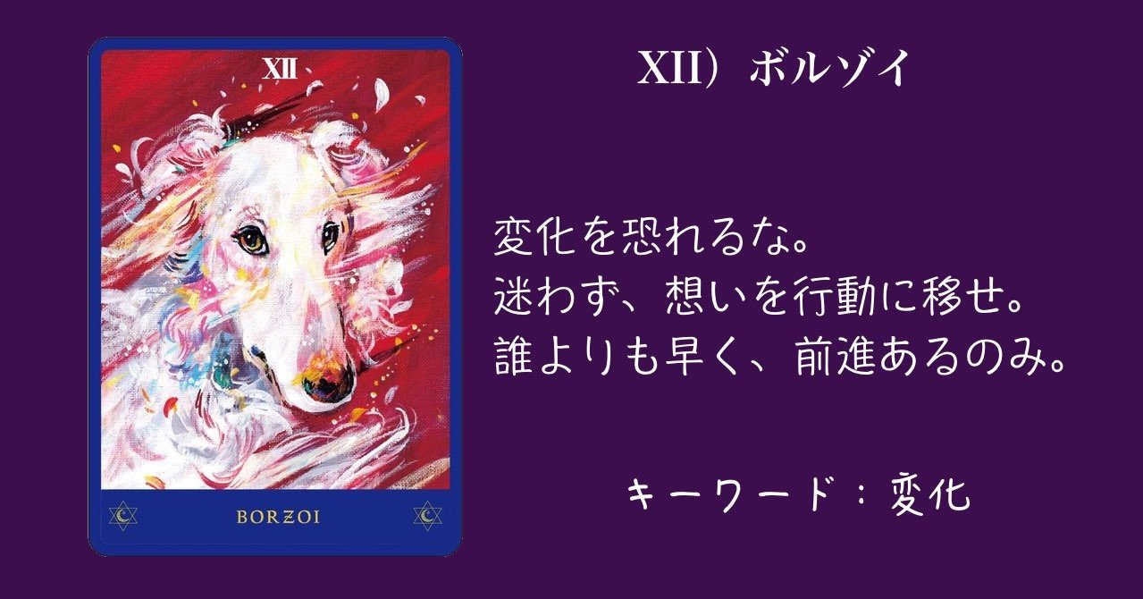 X ボルゾイ Vivi Note
