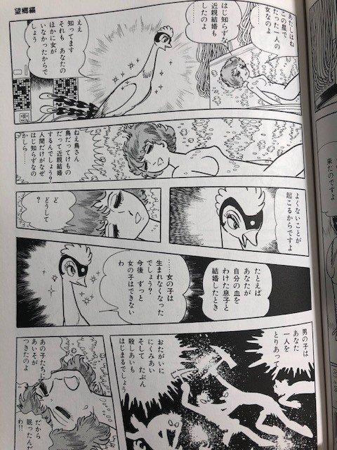 絶版！究極希少漫画発掘！】手塚治虫『火の鳥黎明編』