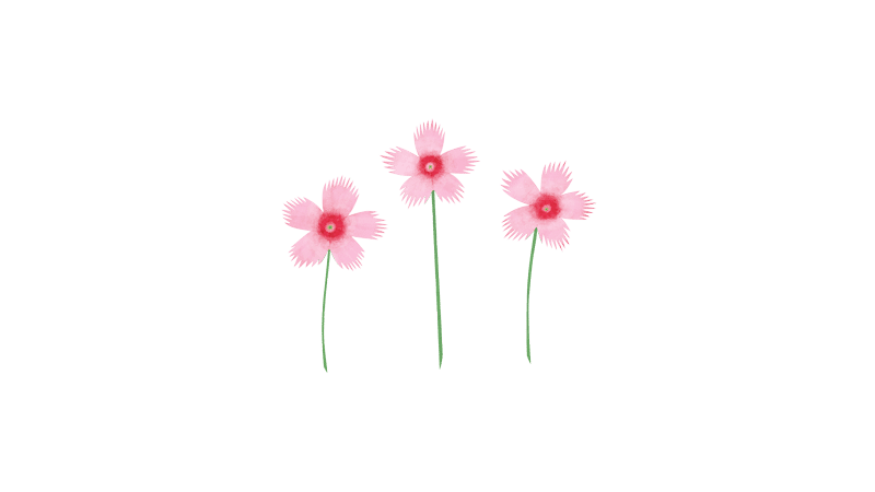 秋の七草 のイラスト あや あしあと手帳２ Note