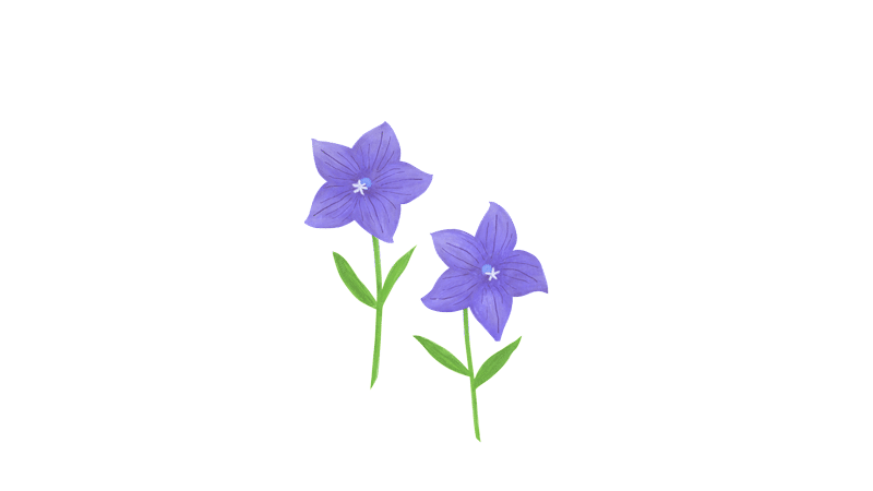 秋の七草 のイラスト あや あしあと手帳2 Note 秋の七草 のイラスト あや あしあと手帳2 Note