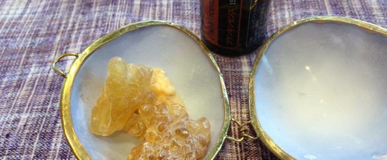 縁があるのかも？そして学びとは｜SOLMAソルマ