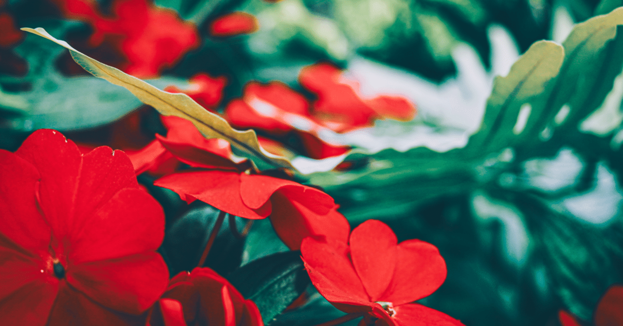 あっ と思う瞬間 にわたつみ Note