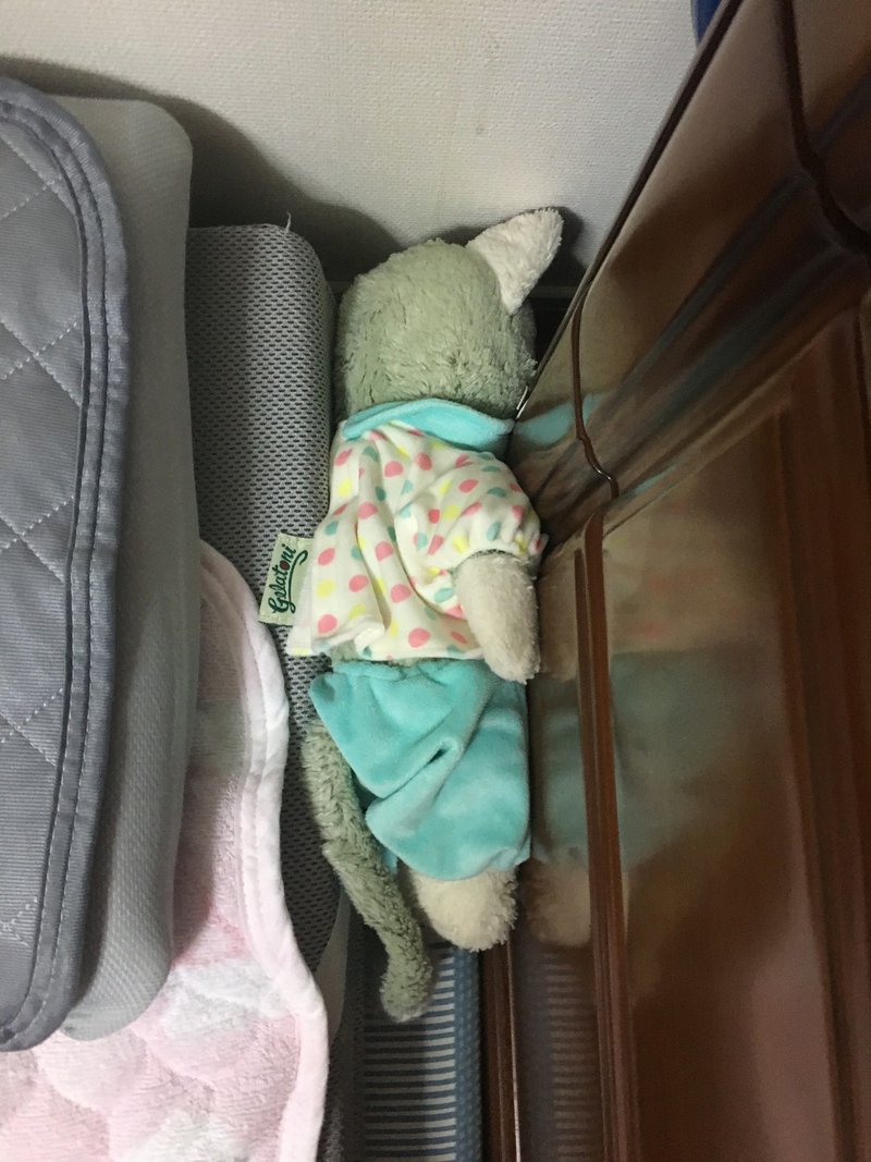 一緒に寝ているぬいぐるみが毎晩可哀想なので助けたい とにお Note