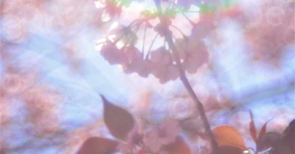 片思いの話 檸檬 Note