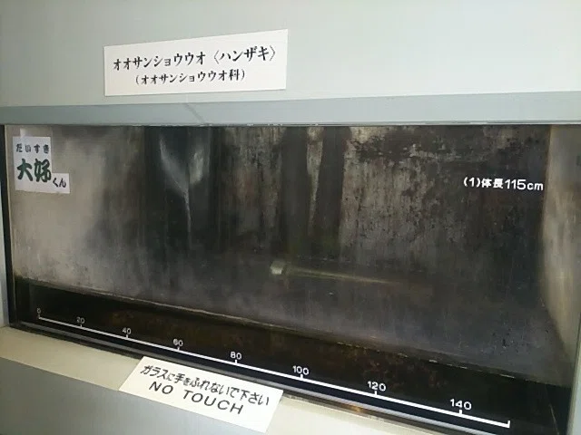 画像9