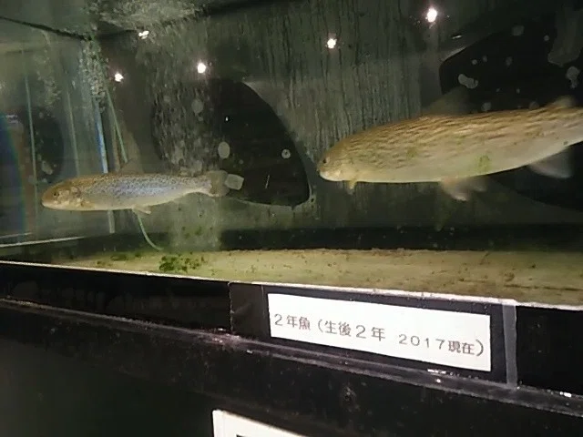 画像13
