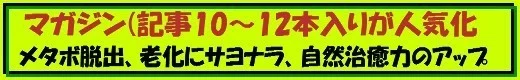 画像23