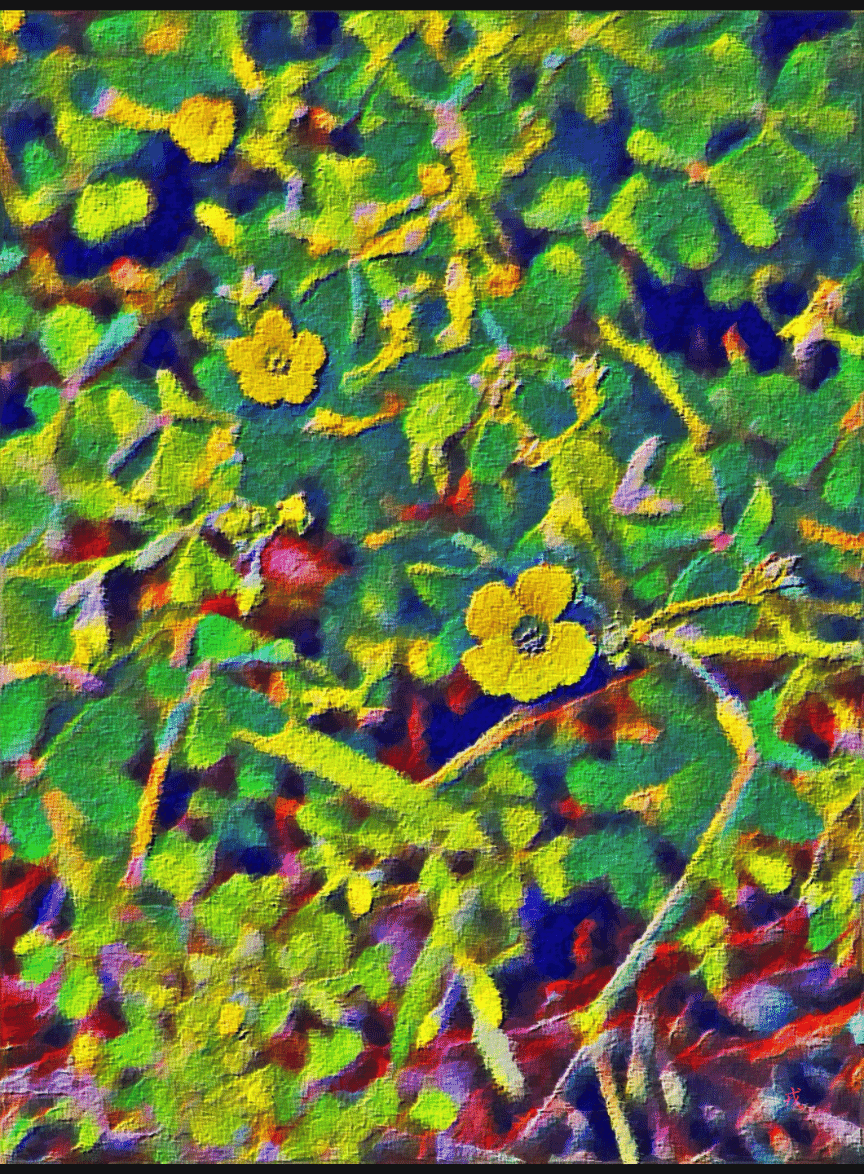 路傍の花 笑顔の黄色 Roadside Flowers Smiling Yellow T Gai Note