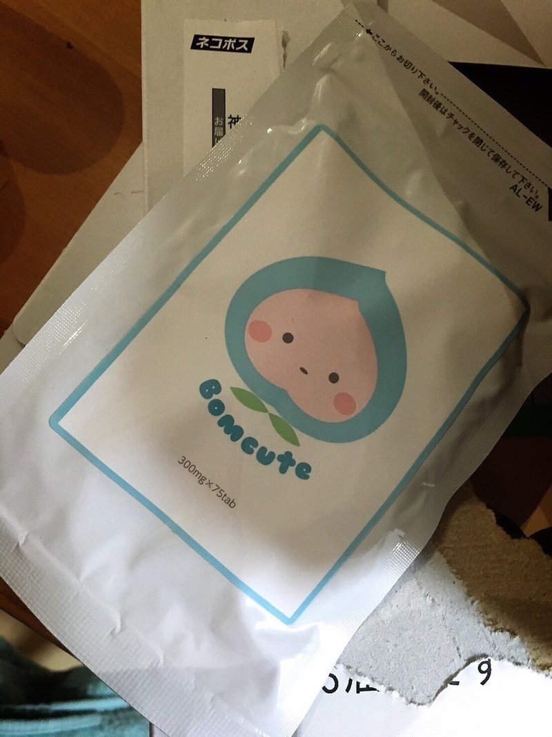 噂のバストアップサプリ試してみた Shige15 H 16 Note