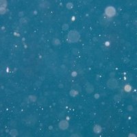 Abematv 宮川大輔のちょい釣り 第三弾 配信中 釣りチャンネル部門でランキング１位に 株式会社シオン Note