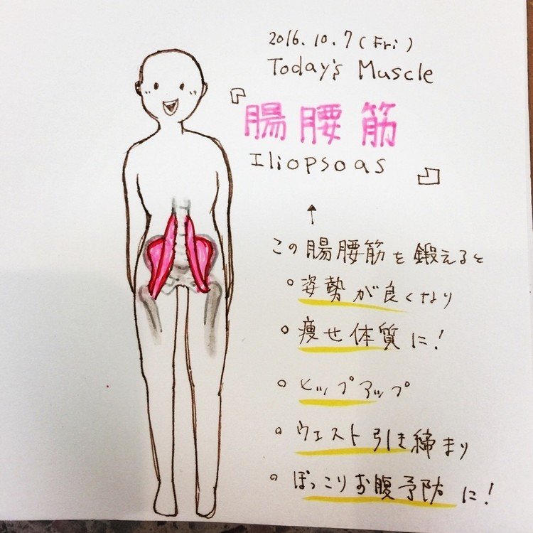 2016.10.7(Fri)
Today's Muscle
『腸腰筋 Iliopsoas muscle』

この筋肉を鍛えると
美しい外見に
なれるみたい*\(^o^)/*

ラクして鍛えたいな‼︎

#今日の筋肉 #muscle #腸腰筋 #Iliopsoas #筋トレ #美 #姿勢 #痩せ体質 #ヒップアップ #ひきしめ #お腹 #ダイエット #diet #キタダイマユ #kitadai-mayu