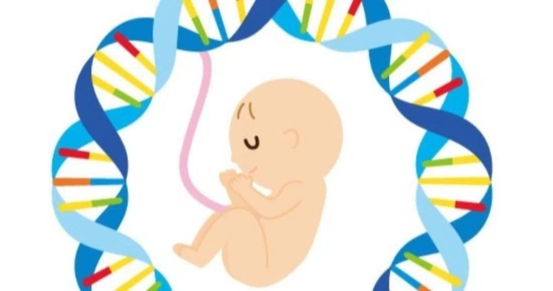 才能が遺伝子で決まるのならその努力は報わ