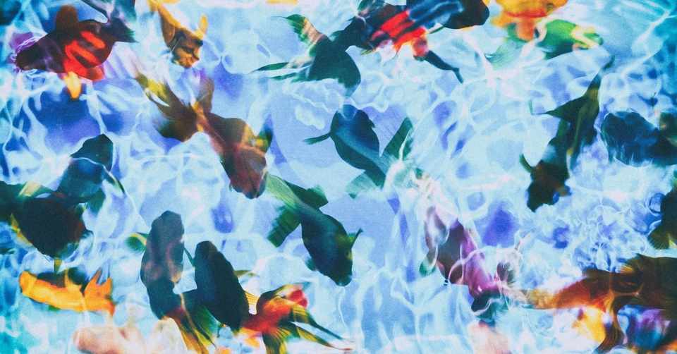 オタク 突然v6にハマる めえこ Note