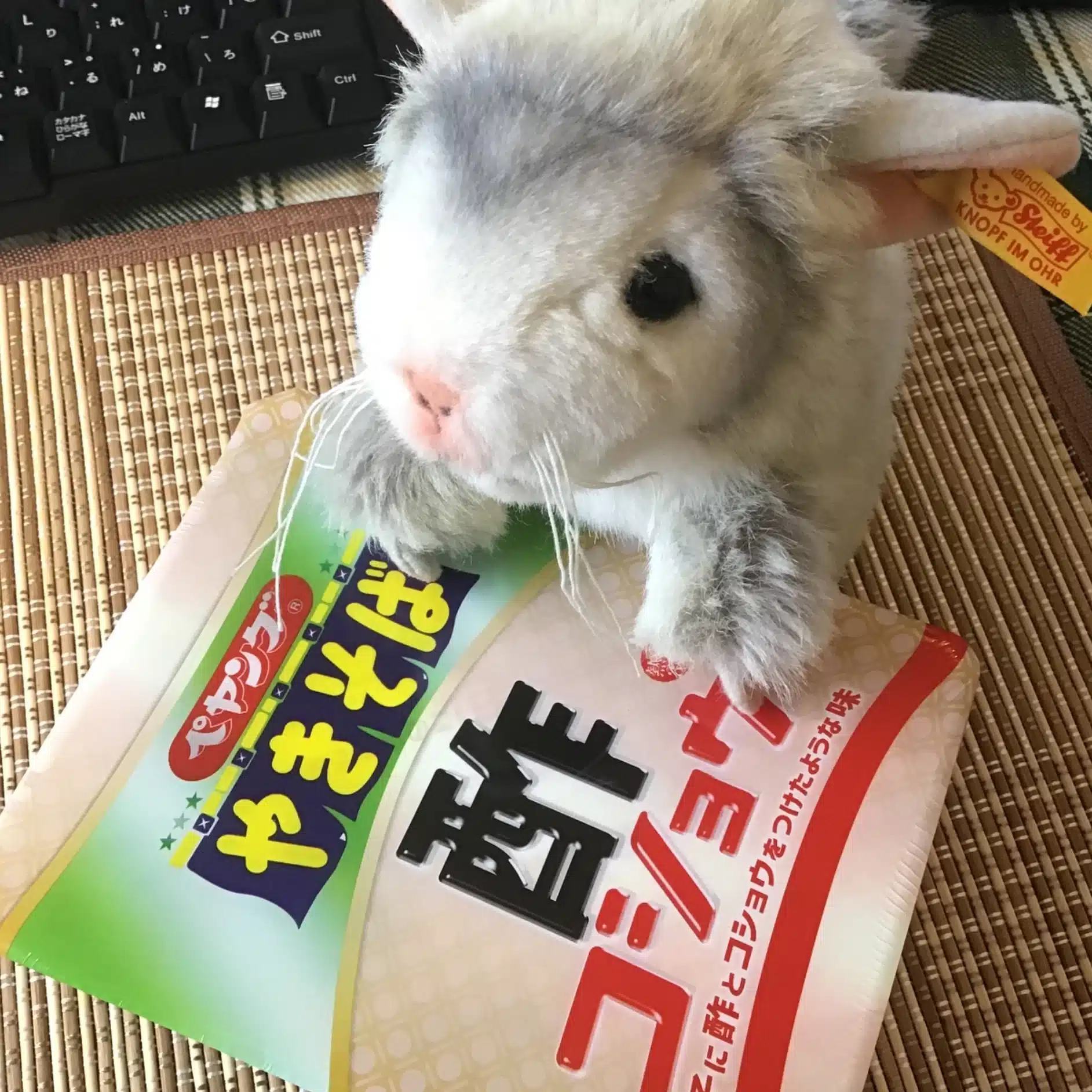 ベンジャミン四畳半
