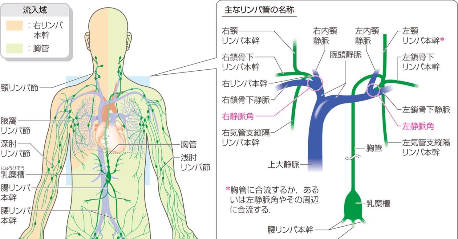 10月9日 疲労の日記 昏庸老大爷 Note 10月9日 疲労の日記 昏庸老大爷 Note