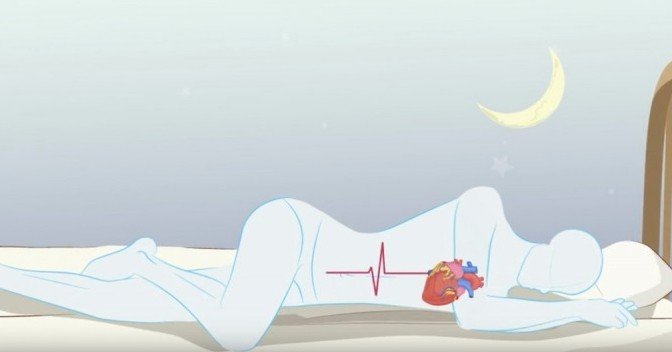 どっちが正解 寝る時の姿勢は右向きか 左向きか 汗を流すコンサルタント 白岩大樹 Note