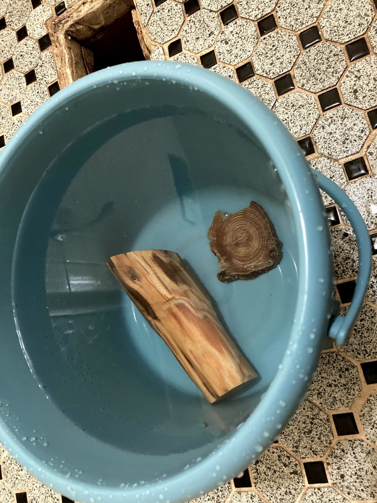 ファットウッド｜津和野ヤモリーズ