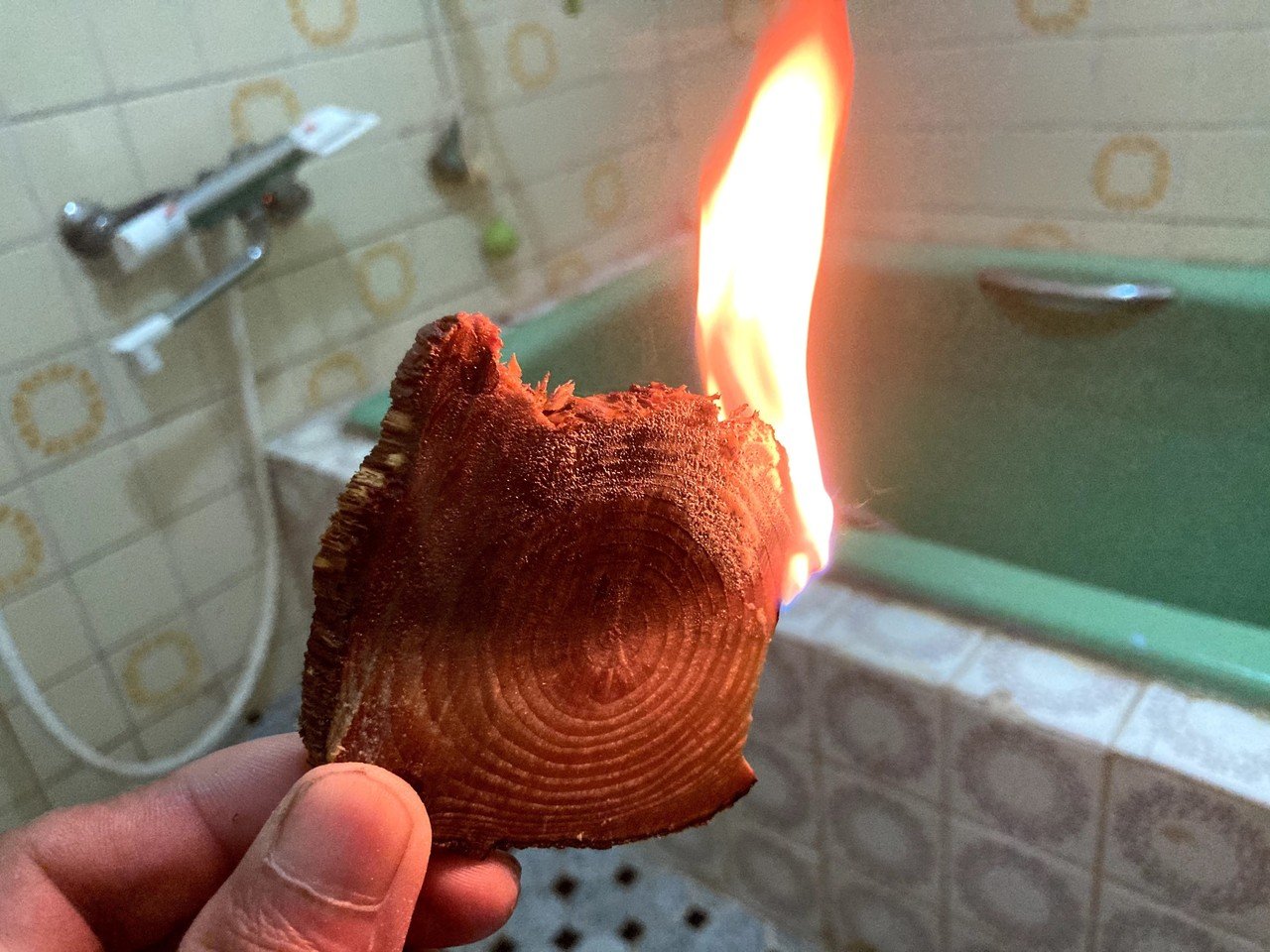 ファットウッド｜津和野ヤモリーズ