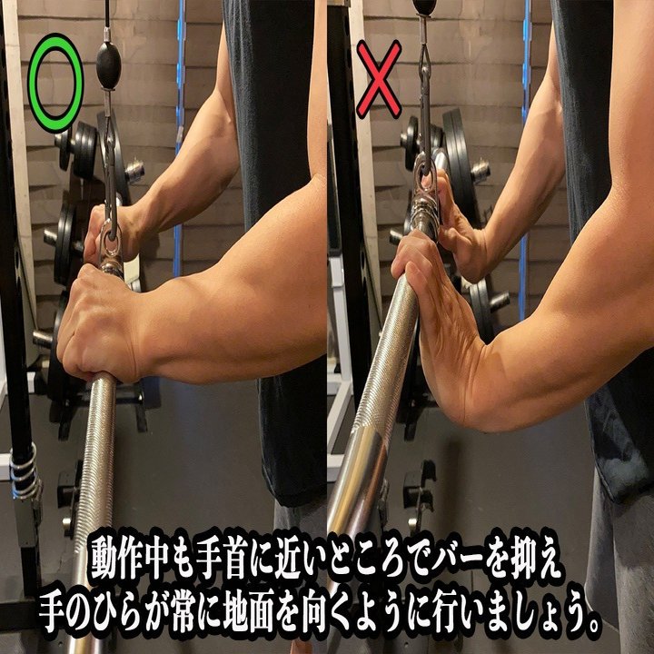 初心者でも効かせやすい ケーブルプレスダウンのやり方と効果的に行うためのポイント解説 せいや アラサー筋トレチャンネル Note