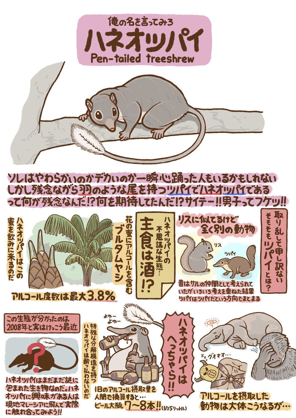 いきもの図鑑 高橋のぞむ Note