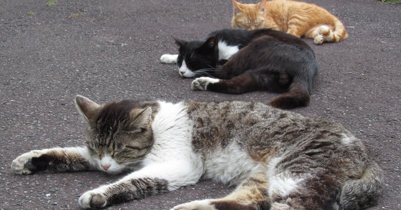 鬼滅の刃が売れれば売れるほど 書店の現場が消耗していくという話 cat note