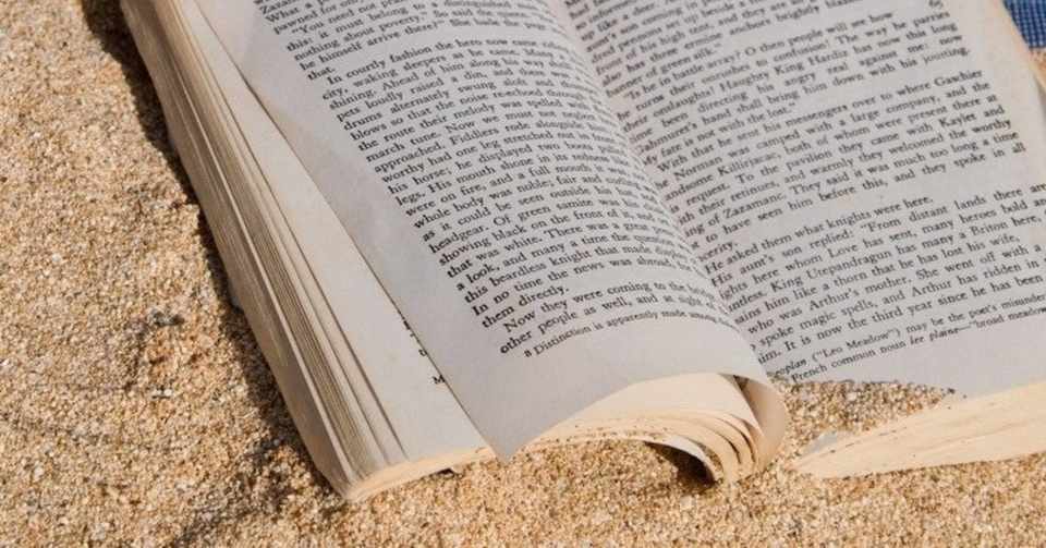 好きなことで英語を習得 格言編 ふみ デンマーク Note