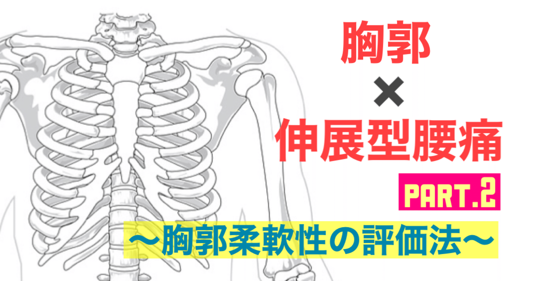 胸郭運動 システムの再建法 理学療法 DVD3枚組 Amazon.co.jp: 胸郭運動