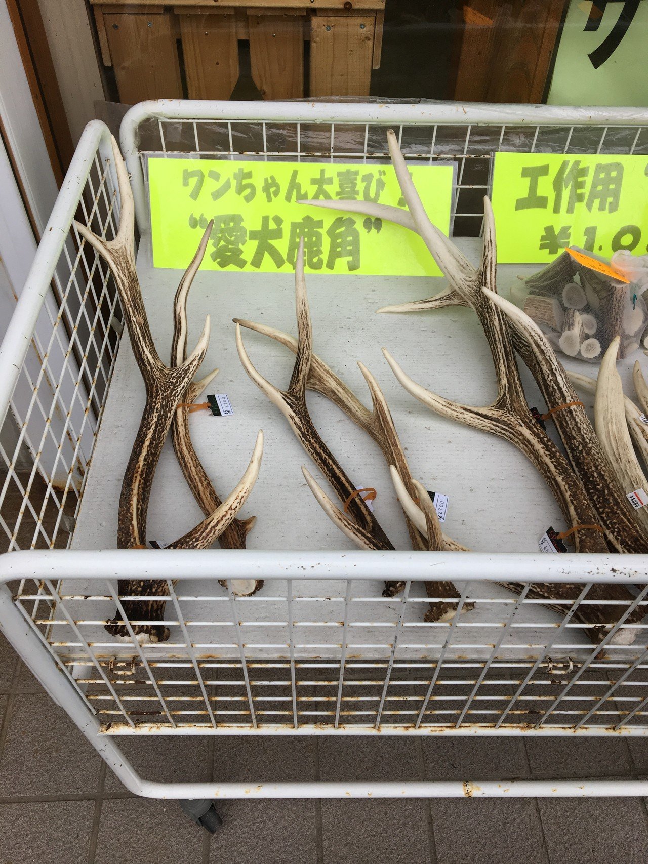 おはようございます 来月 奈良 三重に行くことに Gotoが解除されなければの話 おすすめな場所 食べ物 お土産 あるかな いささか強行スケジュールなのだ ちなみに知床で犬用の鹿の角 Misato ごきげんライフクリエイター Note おはようございます 来月 奈良 三重に行くことに Gotoが解除されなければの話 おすすめな場所 食べ物 お土産 あるかな いささか強行スケジュールなのだ ちなみに知床で犬用の鹿の角 Misato ごきげんライフクリエイター Note