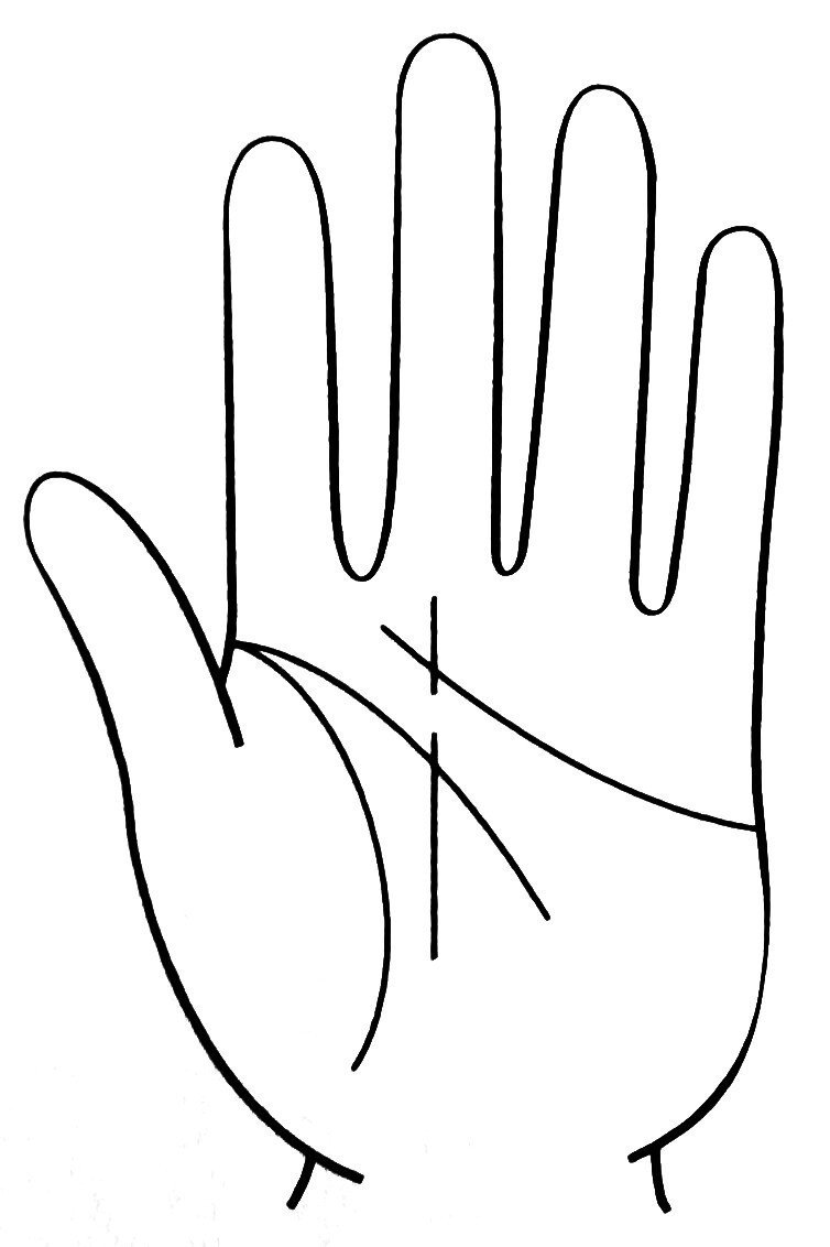 7 女性の幸せを招く手相入門 応用編 職業と事業 中井ひろし Note