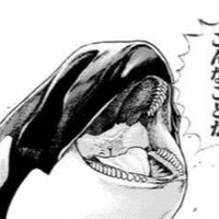 インフィニ 15年 オーストラリア ネタバレあり感想 ハッピーエンドっぽく偽装された鬱映画説ある 鳥ジョギング Note