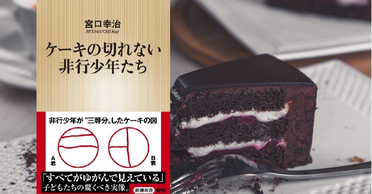 ケーキの切れない非行少年たち 宮口幸治著 犯罪を防ぐ認知機能向上の方法を提案する本 に感じた違和感と気持ち悪さ Littleautumn Note