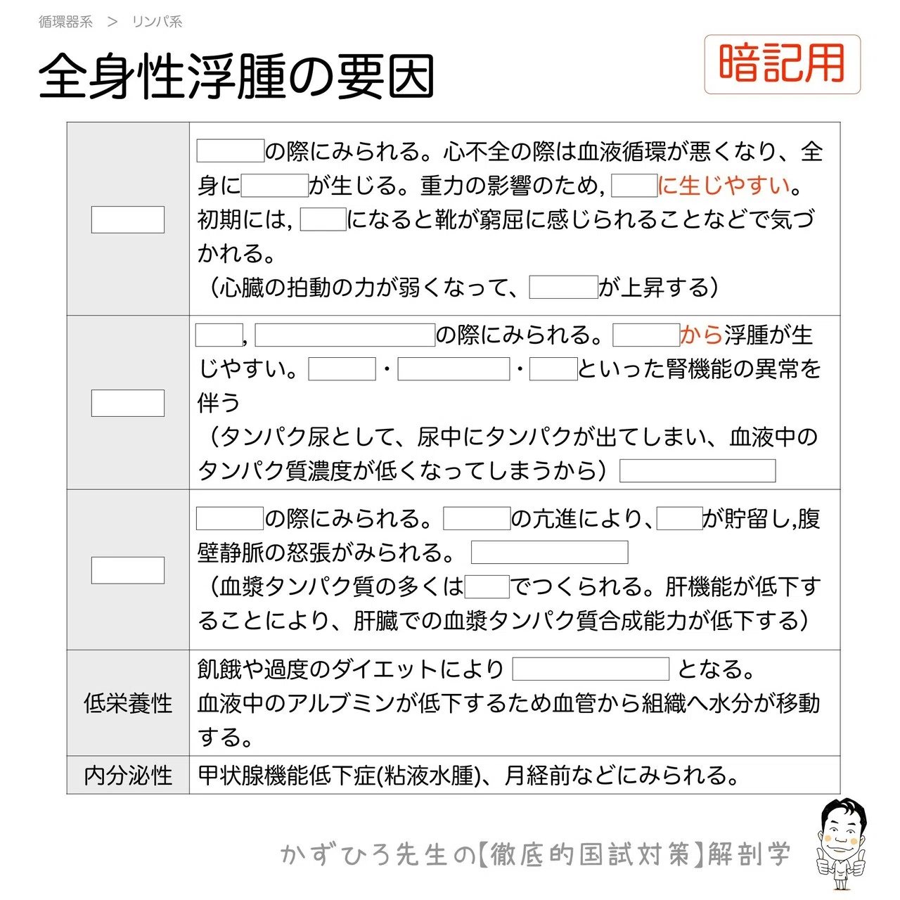 2-6 (1)】 循環器系 − リンパ系 解説｜かずひろ先生（黒澤一弘｜解剖
