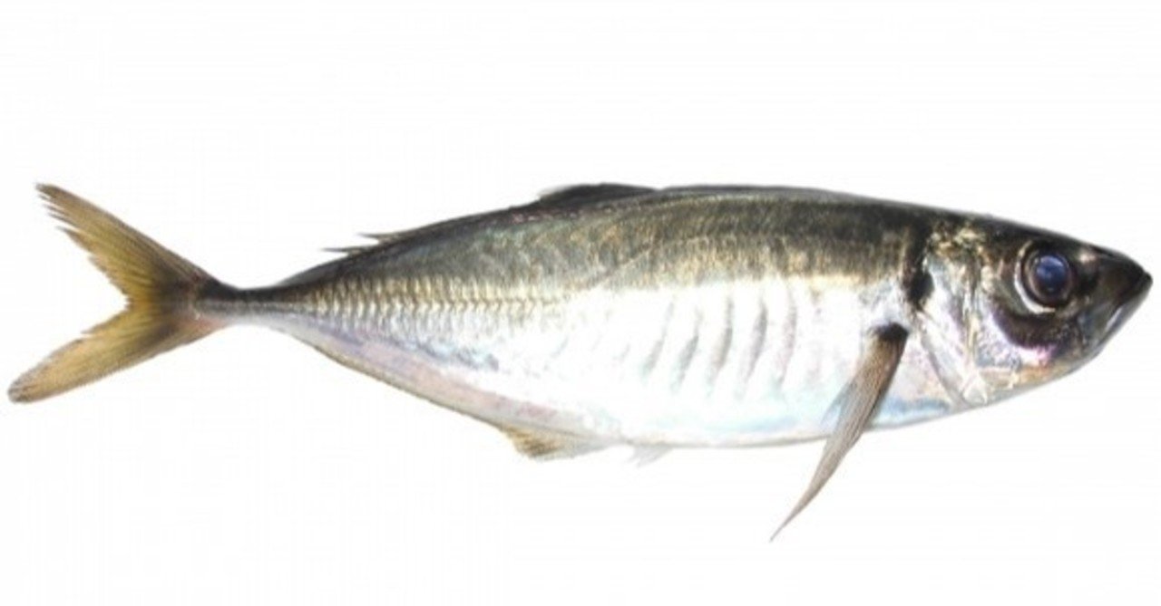 あじの糖質とカロリーが1秒でわかる ダイエット向き 糖質制限ダイエットshiru2 Note あじの糖質とカロリーが1秒でわかる ダイエット向き 糖質制限ダイエットshiru2 Note